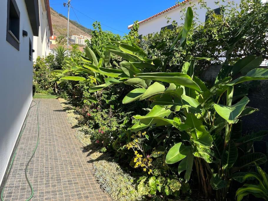 Moradia Com Piscina No Canico Ngoại thất bức ảnh