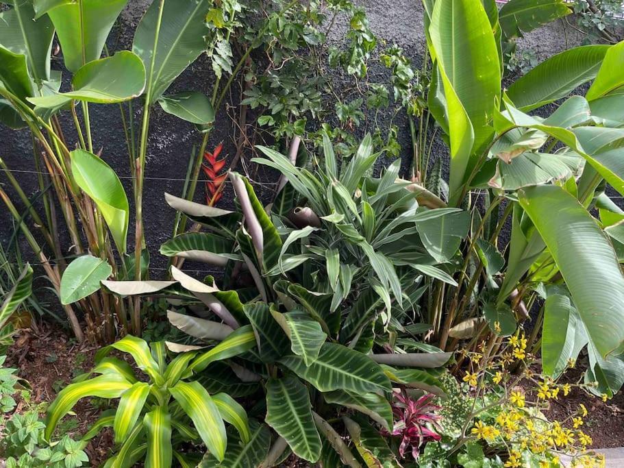 Moradia Com Piscina No Canico Ngoại thất bức ảnh